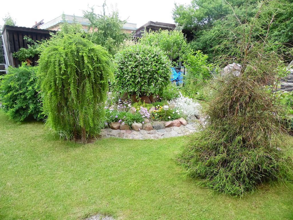 Zelta Pirts Guest House Ventspils Bagian luar foto